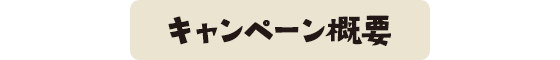 キャンペーン概要